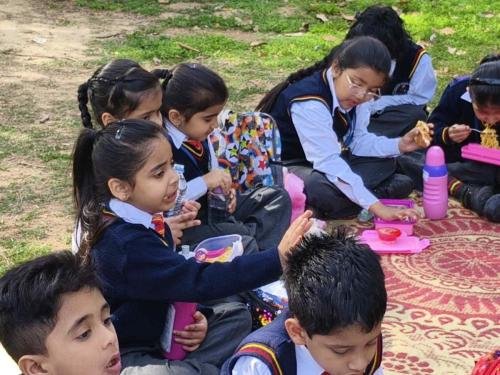 DJI 20240316 094645 206