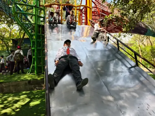 IMG 20250320 112512 1