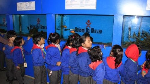 WhatsApp-Image-2025-02-24-at-1.57.10-PM-5