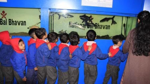 WhatsApp-Image-2025-02-24-at-1.57.10-PM-6