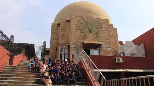 WhatsApp-Image-2025-02-24-at-1.57.10-PM-8